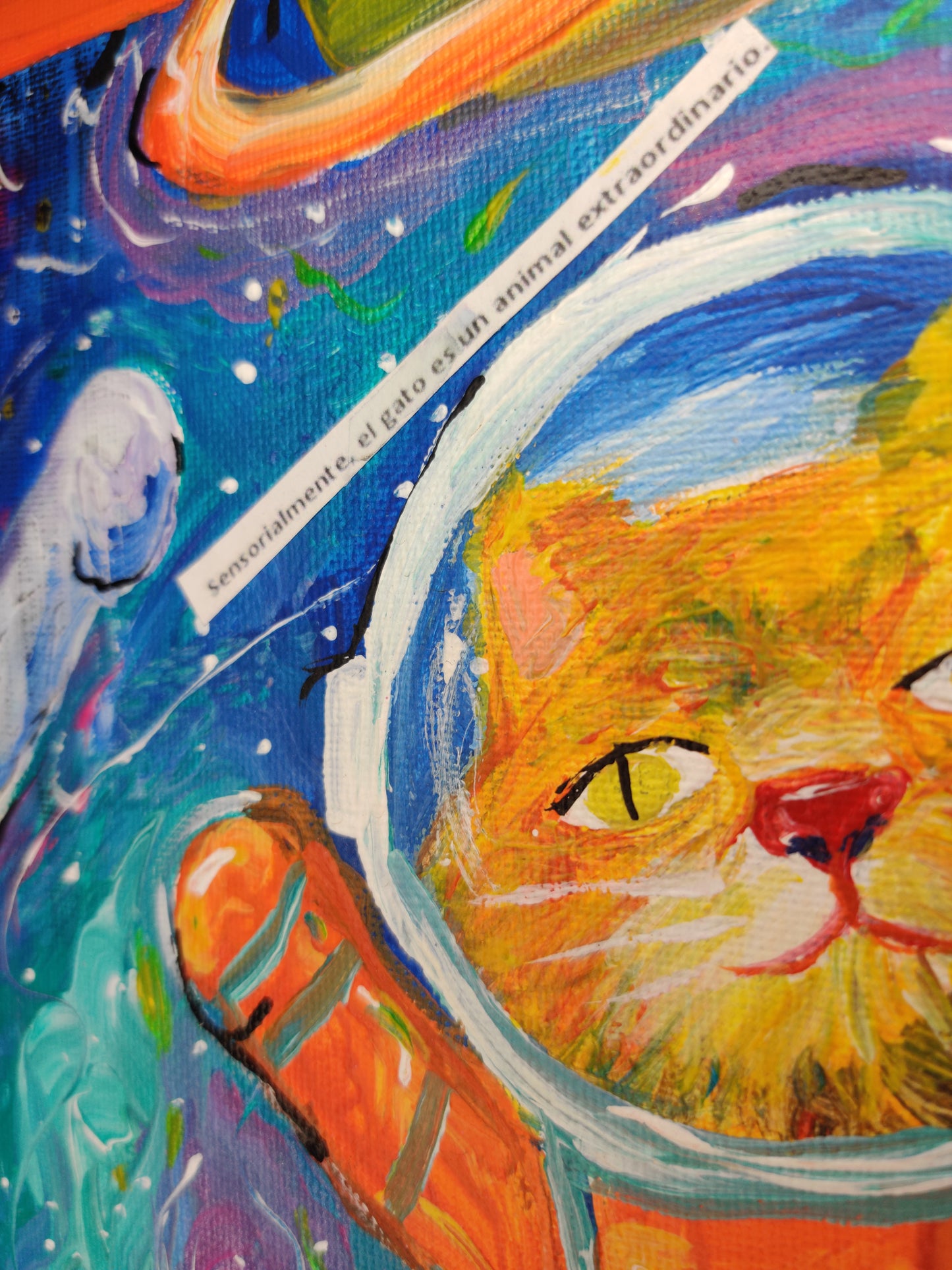 Astro Paws