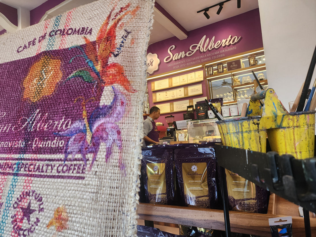 Sara Alarcon Artista colombiana 